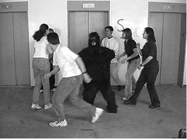 Abb 3: Der Film mit dem Gorilla mit Gorilla, Videostill