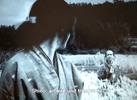 Shino, arbeite und täume nicht