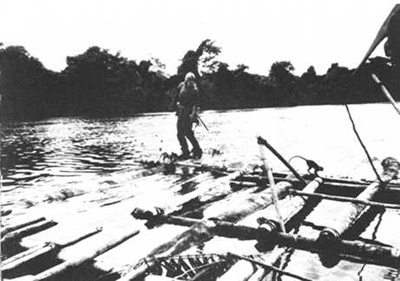 Werner Herzog, Aguirre, 1972, letzte Einstellung