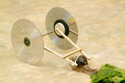 Snail On Wheels. Foto: Herbert Bishko